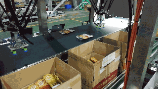 4.蠶豆現(xiàn)場生產視頻_clip.gif